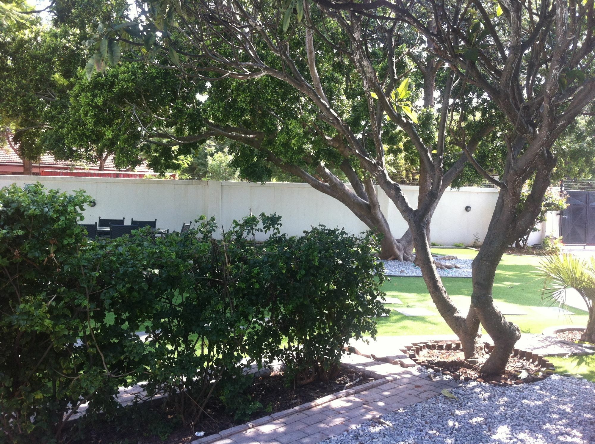 Cosy Palms Bed and Breakfast Γκαμπορόνε Εξωτερικό φωτογραφία